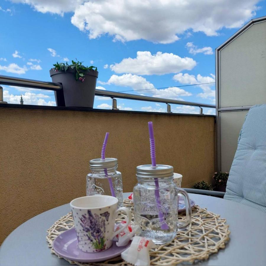 Soul Stan Na Dan Apartment Нови Сад Екстериор снимка