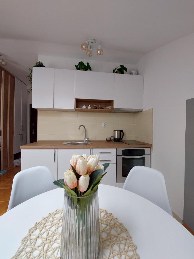 Soul Stan Na Dan Apartment Нови Сад Екстериор снимка